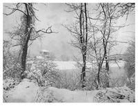 no name ( ID=2575847 ); comments:7