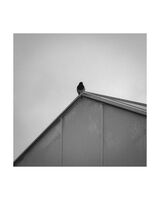 Stillness; comments:4