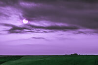 no name ( ID=2575856 ); comments:13