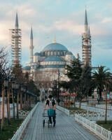 no name ( ID=2575861 ); comments:1