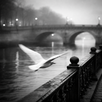 Меланхоличното достойнство на една птица; comments:17