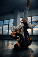 Jiujitsu airlines. Mata Leao Jiu jitsu; comments:1