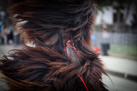 no name ( ID=2575894 ); comments:7