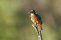 no name ( ID=2575898 ); comments:6