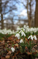 no name ( ID=2575918 ); comments:3