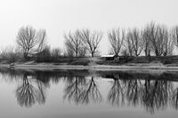 no name ( ID=2575922 ); No comments