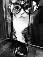 Гледна точка.; Коментари:8