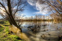 Пришла Весна; comments:6