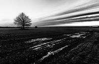 no name ( ID=2575930 ); comments:5