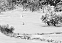 no name ( ID=2575931 ); comments:4