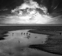 По залез; Коментари:8