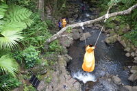 без име ( ID=2576000 ); Коментари:2