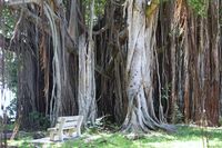 място за размисъл; Коментари:2