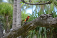 no name ( ID=2576004 ); comments:2