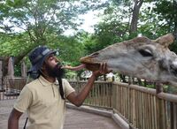 дългият език на любовта; Коментари:5