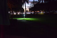 без име ( ID=2576009 ); Коментари:2