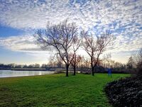 без име ( ID=2576043 ); Коментари:3