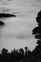 без име ( ID=2576054 ); Коментари:2