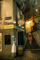 Нощна Виена; comments:1