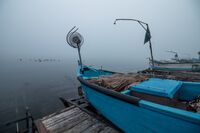 no name ( ID=2576065 ); comments:4