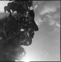 no name ( ID=2576066 ); comments:3