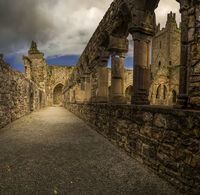 no name ( ID=2576074 ); comments:4