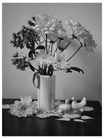 ***; Коментари:12