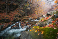 no name ( ID=2576087 ); comments:2