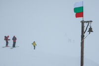 без име ( ID=2576125 ); Коментари:8