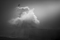 Aberdeen; comments:2