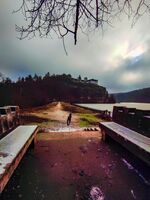 без име ( ID=2576147 ); Няма коментари