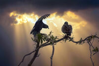 "Ти обичаш ли ма,или да ода да се напия...?"; comments:9