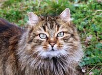 no name ( ID=2576167 ); comments:3