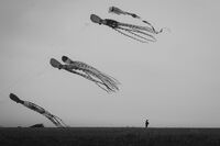 Къде побягнаха мечтите; comments:6