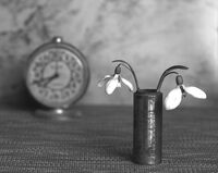 без име ( ID=2576221 ); Коментари:20