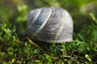 Изоставената къща; comments:1