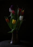 Цветя в сянка; comments:3