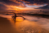 без име ( ID=2576227 ); Коментари:18