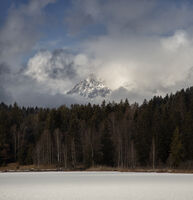 без име ( ID=2576266 ); Коментари:3