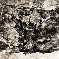 без име ( ID=2576272 ); Коментари:14