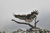 no name ( ID=2576273 ); comments:1