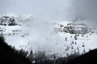 no name ( ID=2576294 ); No comments