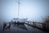 без име ( ID=2576296 ); Коментари:4