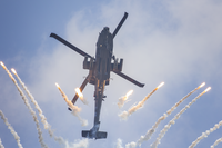 AH-64 на Сингапурските ВВС; Коментари:1