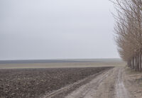 no name ( ID=2576336 ); comments:1