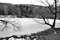 без име ( ID=2576358 ); Няма коментари