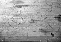 Следи те; Коментари:4