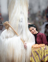 no name ( ID=2576425 ); comments:2