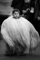 no name ( ID=2576426 ); comments:3