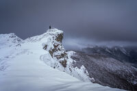 Въпрос на време; comments:8